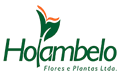 Holambelo Rio Webshop